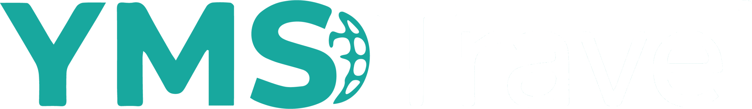 YMS Travel: Book Tours, Activities, and Desert Adventures